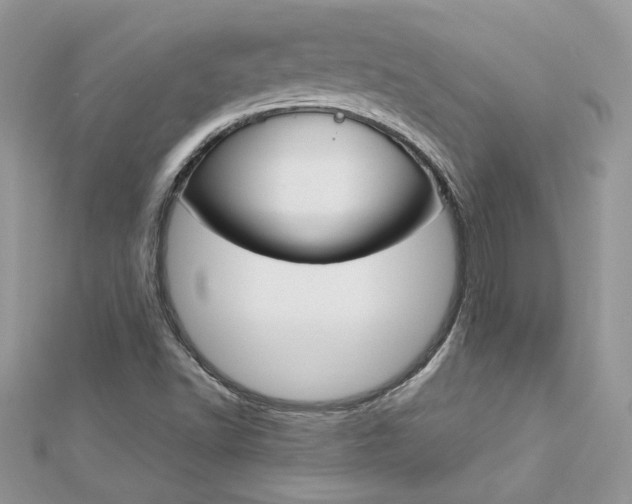 X0000113071502200908280958