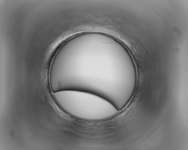 X0000113071503200908280958