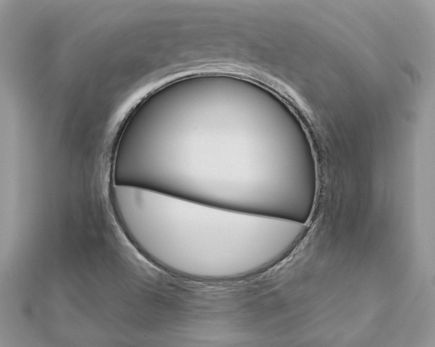 X0000113071504200908280958