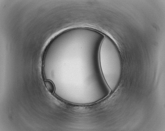 X0000113071508200908280958