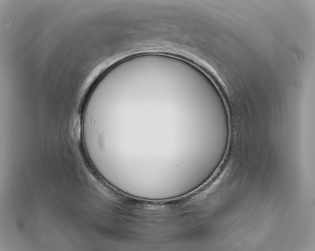 X0000113071509200908280958
