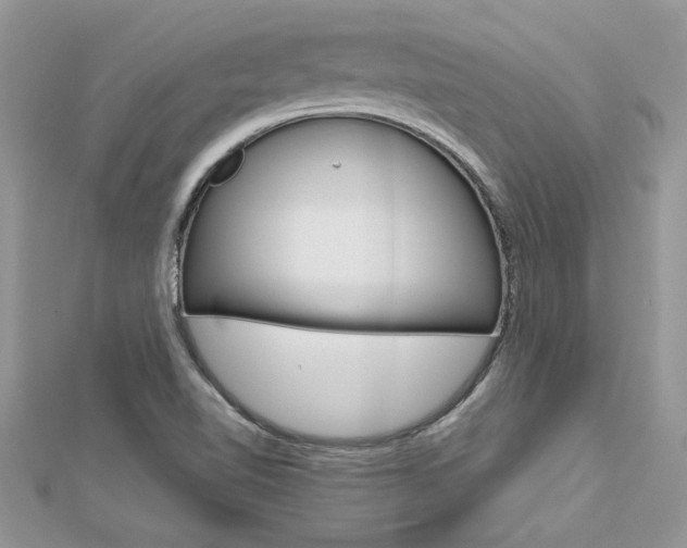 X0000113071510200908280958
