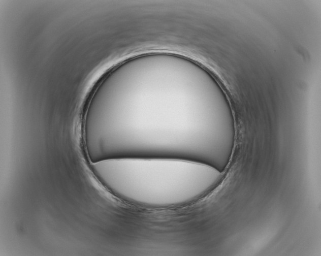 X0000113071511200908280958