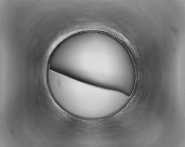 X0000113071512200908280958