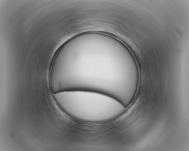 X0000113071513200908280958