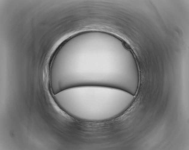 X0000113071515200908280958