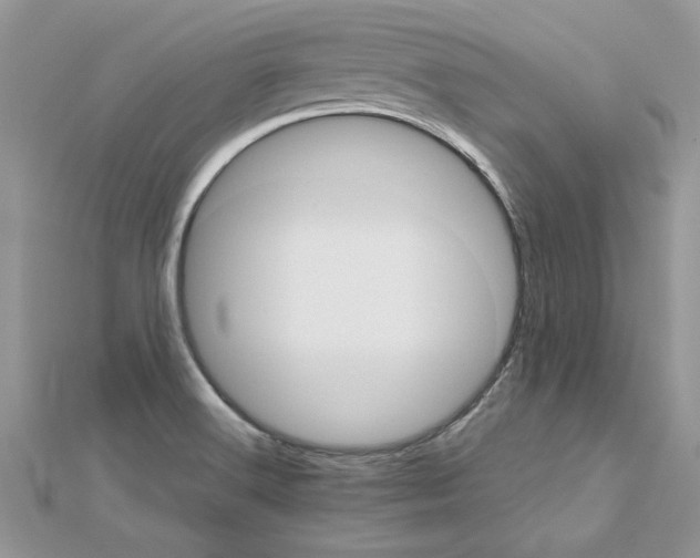 X0000113071516200908280958