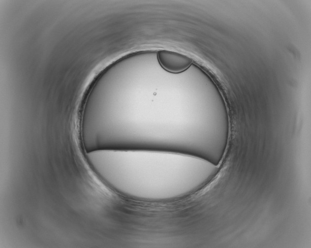 X0000113071517200908280958