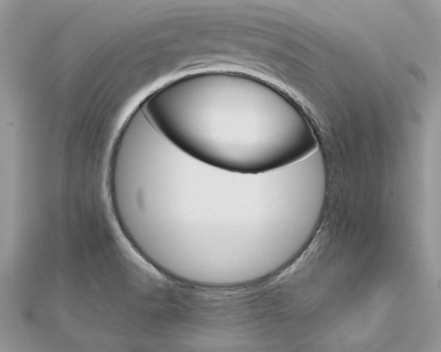 X0000113071518200908280958