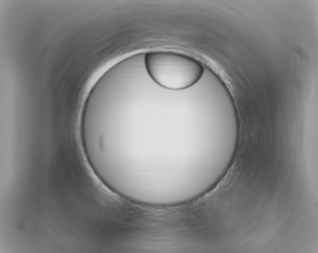 X0000113071520200908280959