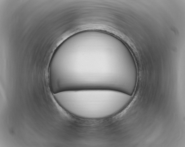 X0000113071521200908280959