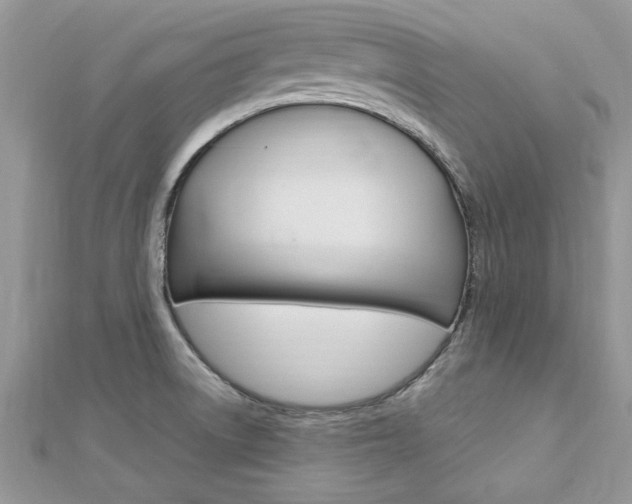 X0000113071522200908280959