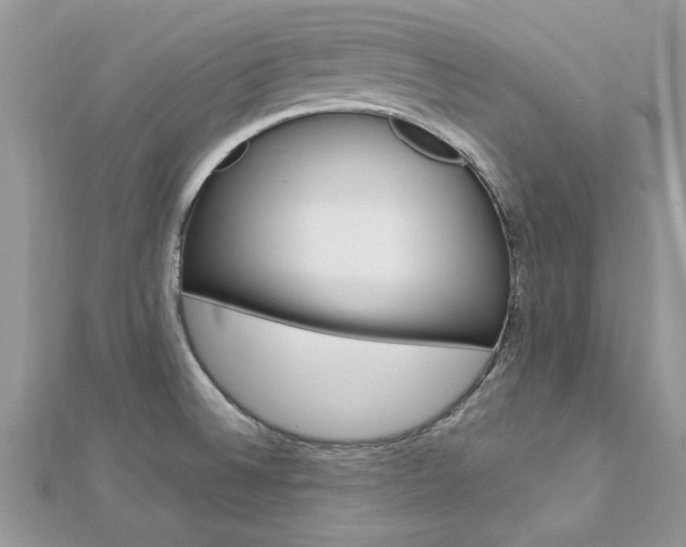 X0000113071524200908280959