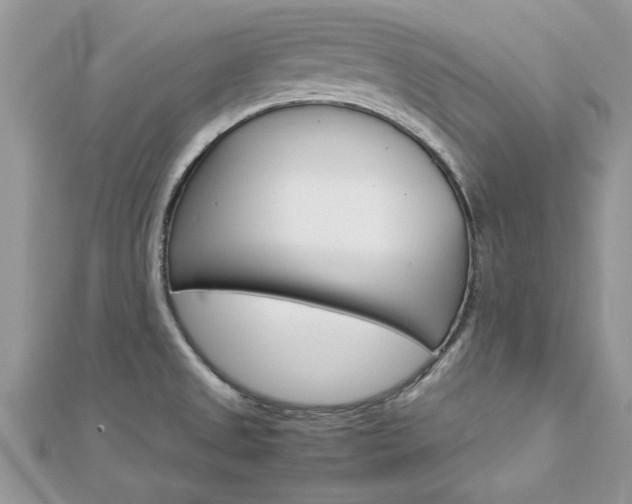 X0000113071525200908280959