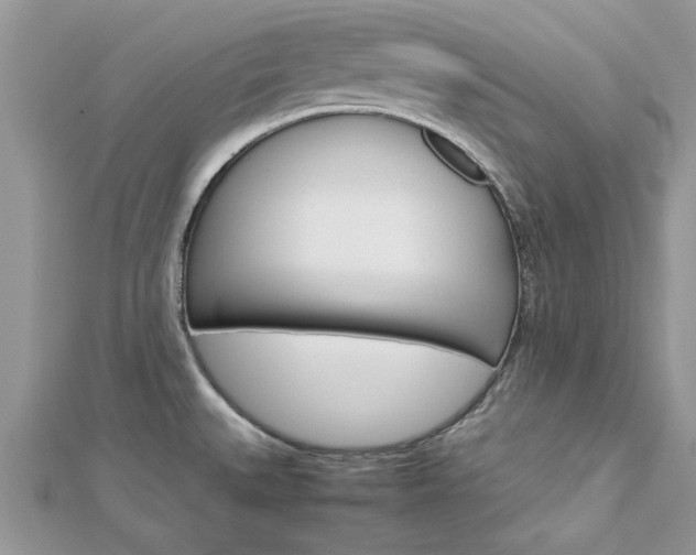 X0000113071527200908280959