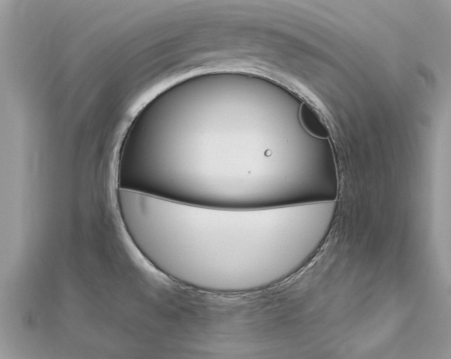 X0000113071528200908280959