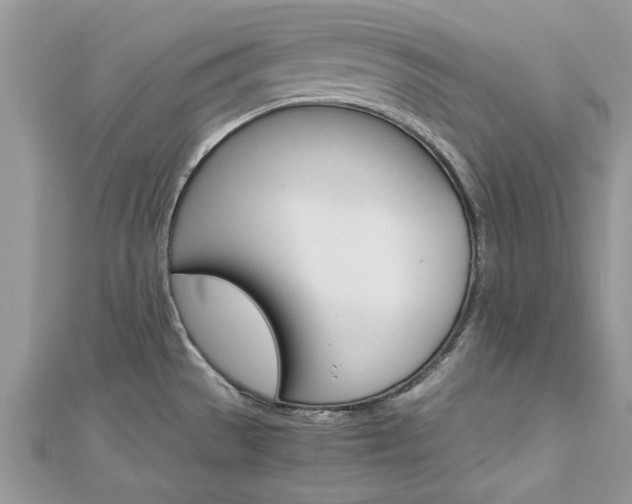 X0000113071529200908280959
