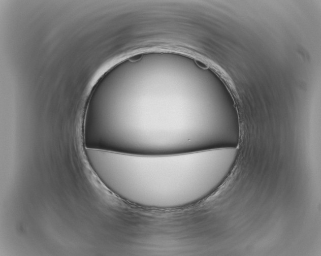 X0000113071530200908280959