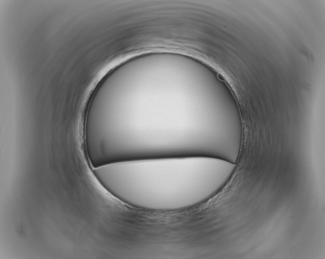 X0000113071531200908280959
