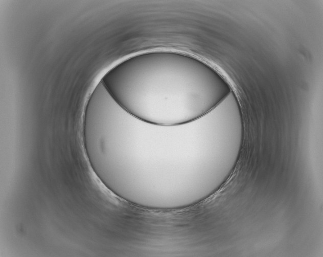 X0000113071532200908280959