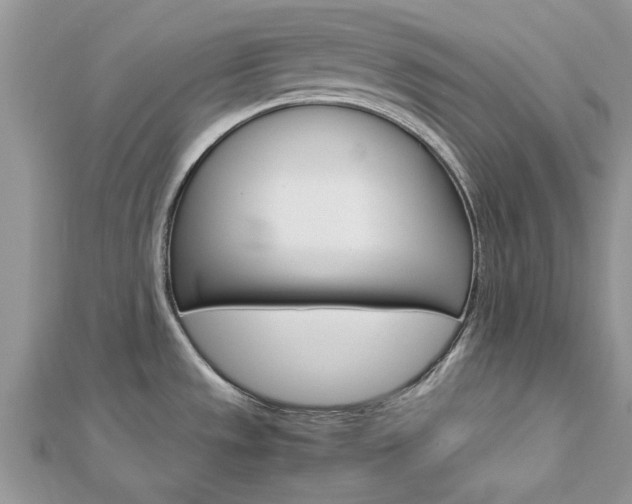 X0000113071533200908280959