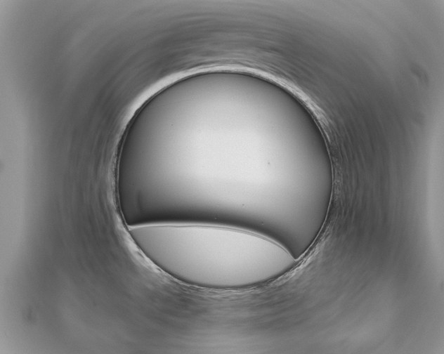X0000113071534200908280959