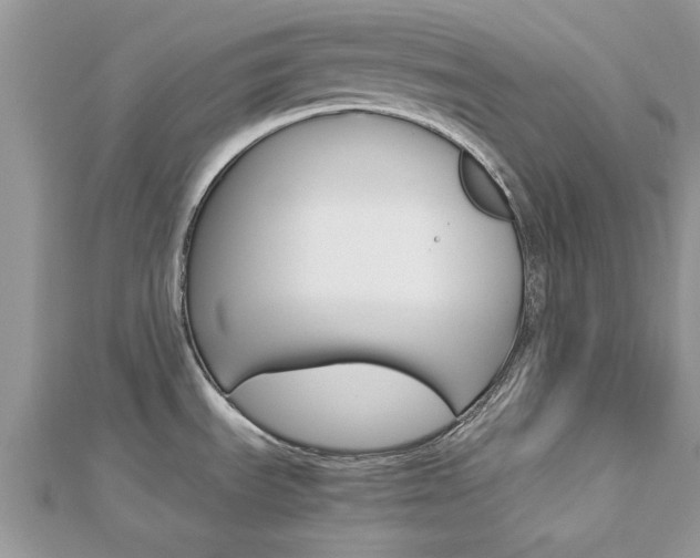 X0000113071535200908280959