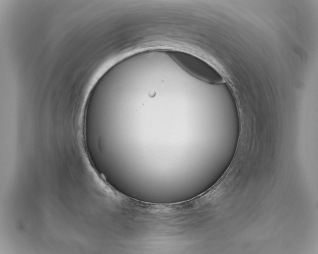 X0000113071536200908280959