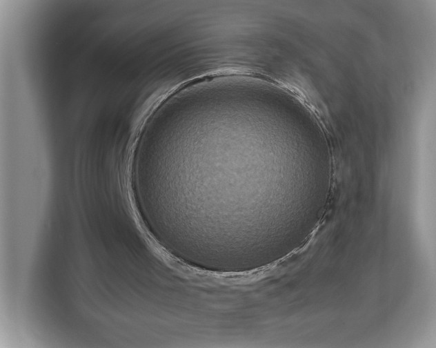 X0000113070001200908281204