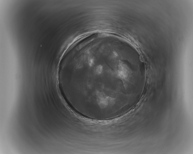 X0000113070002200908281204