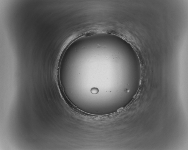 X0000113070003200908281204