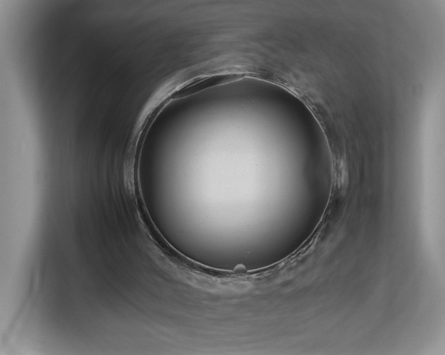 X0000113070004200908281204