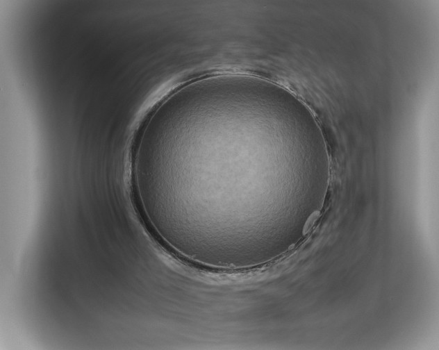 X0000113070005200908281204