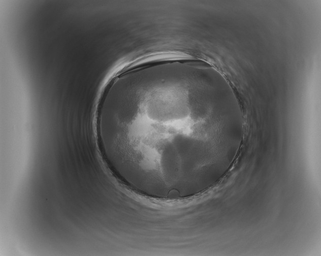 X0000113070006200908281204