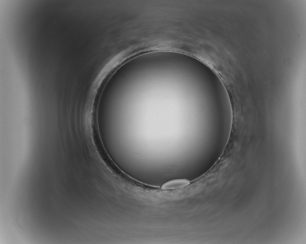 X0000113070007200908281204