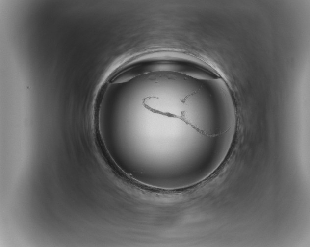 X0000113070008200908281204