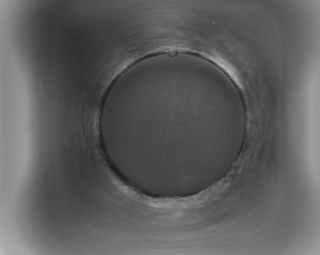 X0000113070009200908281204