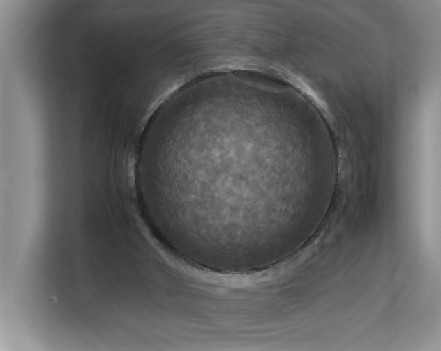 X0000113070010200908281204