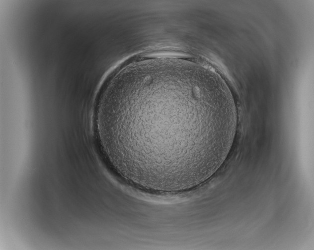 X0000113070012200908281204