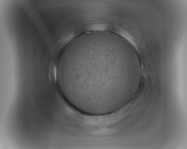 X0000113070013200908281204