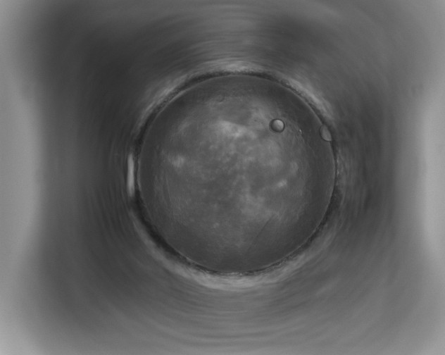 X0000113070014200908281204