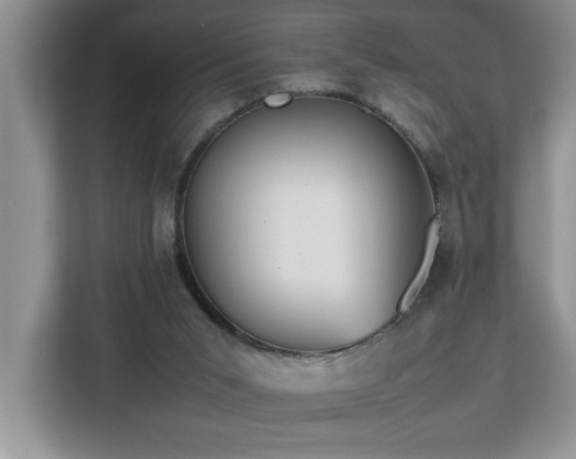 X0000113070015200908281204