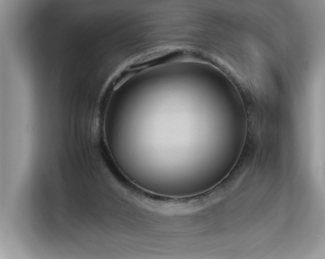 X0000113070016200908281204