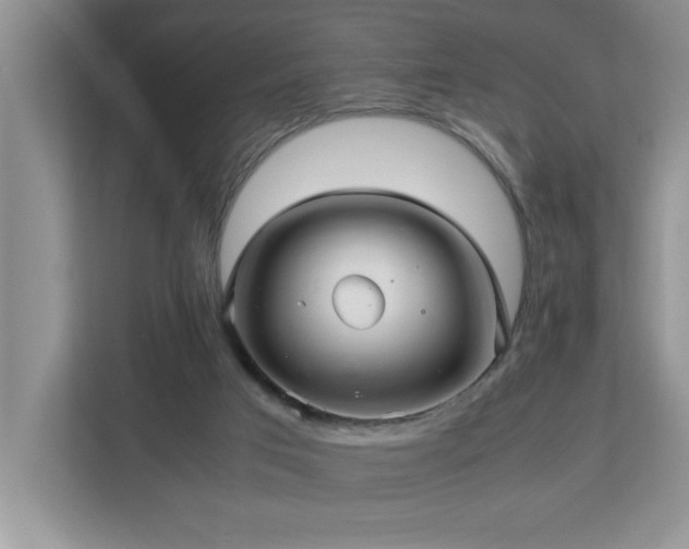 X0000113070017200908281204