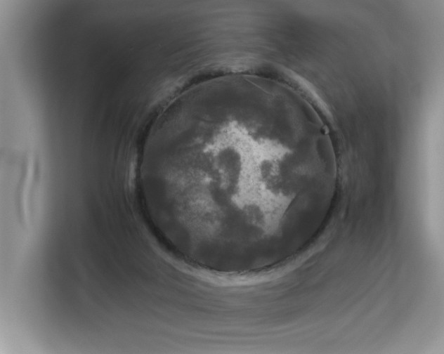 X0000113070018200908281204