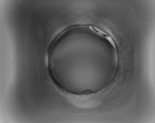 X0000113070019200908281204