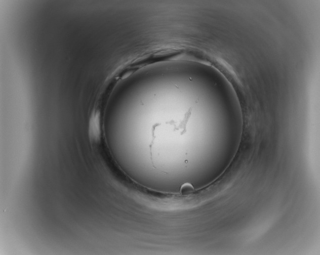 X0000113070020200908281204