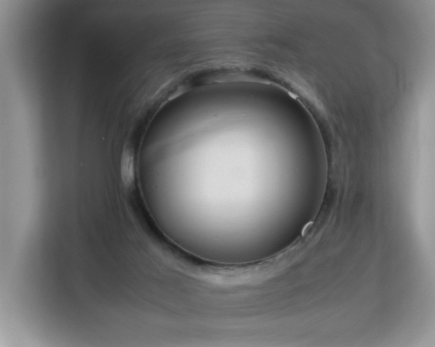 X0000113070021200908281204