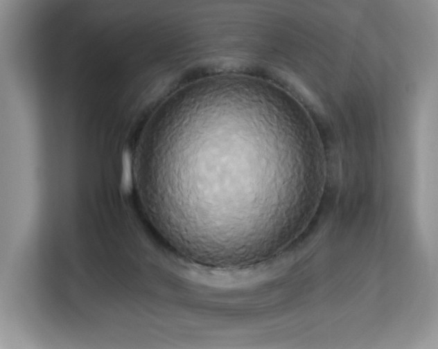 X0000113070022200908281204