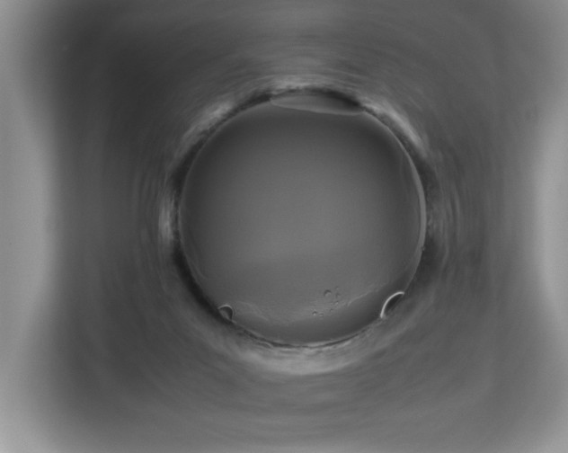 X0000113070023200908281204